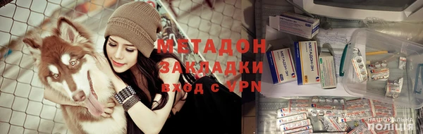 PSILOCYBIN Белокуриха