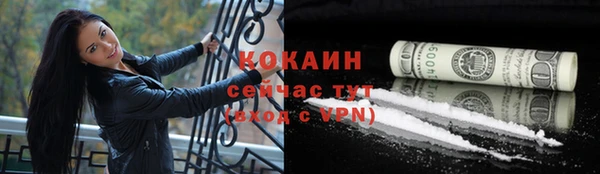 PSILOCYBIN Белокуриха