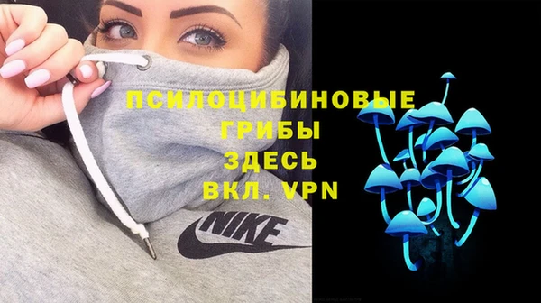 PSILOCYBIN Белокуриха